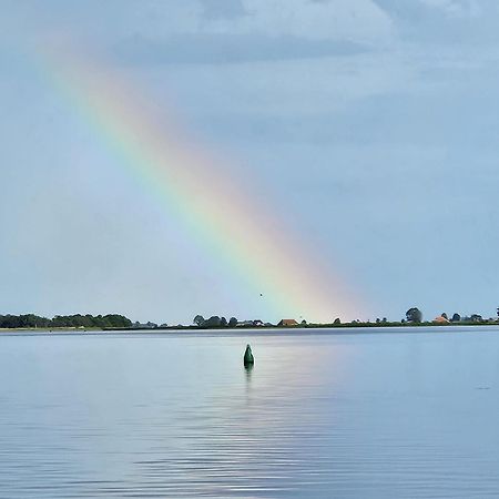 Welkom In Mijn Studio Bij Het Snekermeer ! Offingawier Ngoại thất bức ảnh